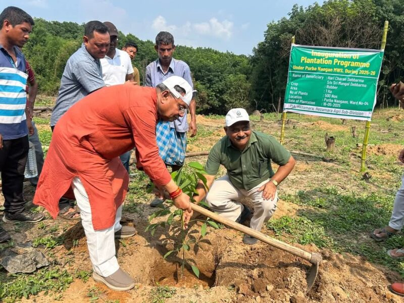 উদ্যানজাত ফলের গাছ রোপনের উপর গুরুত্ব নিয়ে আলোচনা