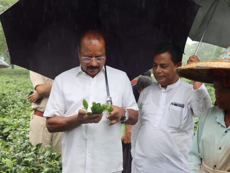 ব্রহ্মকুন্ড চা বাগান পরিদর্শনে রাজ্যপাল
